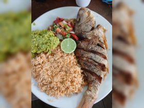 A delicious plate featuring grilled fish, rice, guacamole, and fresh salsa, perfect for enjoying a local culinary experience while on a boat trip.