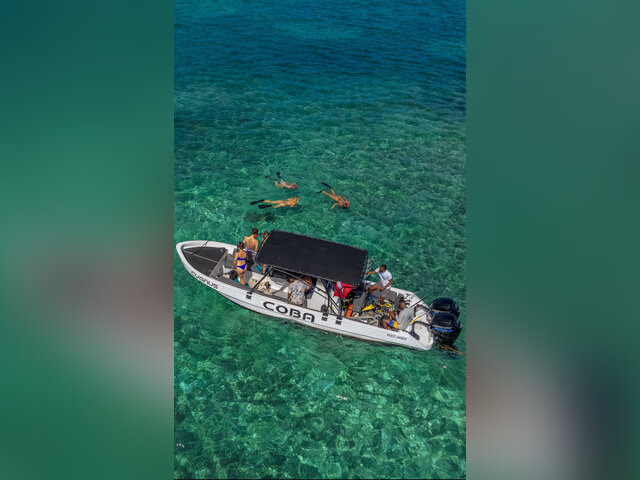 Listing image 1092246