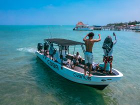 A lively group enjoys a fun day on the water aboard the 'Coba' boat, celebrating and making memories under the sun.