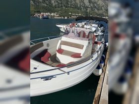 A sleek speedboat docked in a picturesque harbor, showcasing its stylish design and comfortable seating, perfect for day trips on the water.
