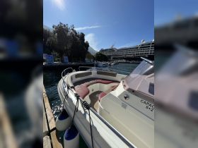 A sleek speedboat docked at the marina, showcasing its spacious seating and modern design, perfect for a day on the water.