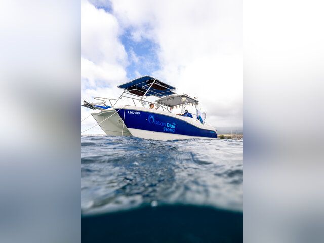 Listing image 1092682