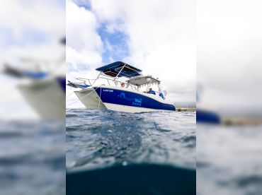 Ocean Blue Kona – Snorkeling & Fishing Tours