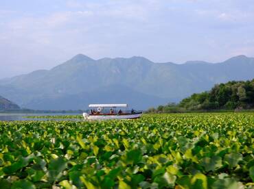Eagle Boat & Kayak – Skadar Lake