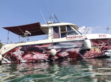 Predator Budva – Panorama Boat