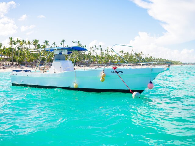 Listing image 1092864