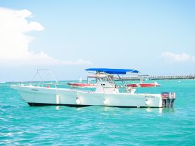 A sleek speedboat named 'Danaya' floats gracefully in clear turquoise waters, perfect for a day of adventure on the sea.