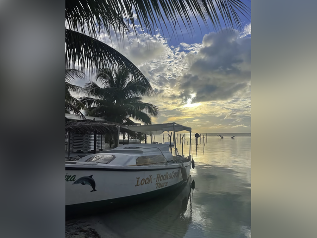 Listing image 1134218