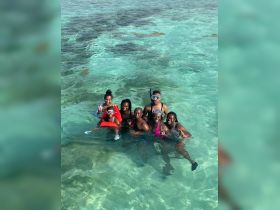 A lively group enjoys snorkeling in crystal-clear waters, capturing the joy of their aquatic adventure together.