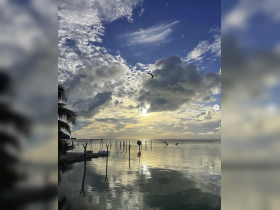 A stunning sunset over calm waters, with reflections of clouds and silhouettes of palm trees, creating a picturesque coastal scene.