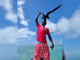 A man interacts with a frigatebird while holding a fish, showcasing a unique wildlife experience in a tropical setting.