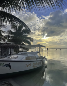 Look Hook & Cook Tours - Updated 2026 Prices