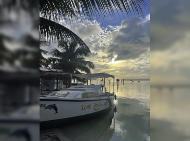Look Hook & Cook Tours
