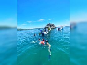 A lively group enjoys snorkeling in clear waters, with children and adults swimming near a boat — a perfect family adventure in a tropical paradise.