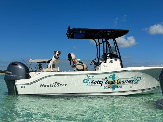 Listing image 1092995