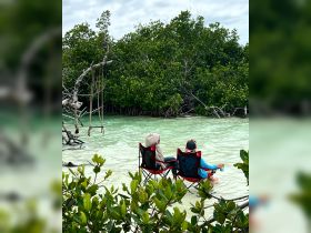 A couple enjoys a serene moment sitting in chairs by the water in a mangrove setting, perfect for relaxation and nature appreciation.