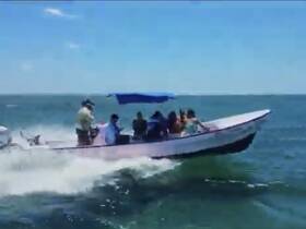 Charter Image