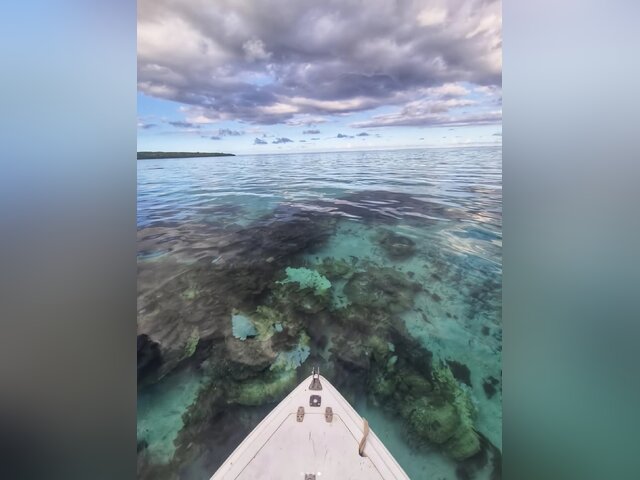 Listing image 1095233