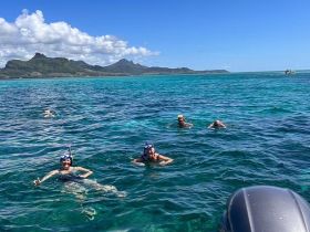 Discover underwater wonders while snorkeling!
