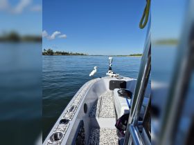 A serene moment captured with an egret perched on the edge of a boat, showcasing the beauty of wildlife in a tranquil water setting.