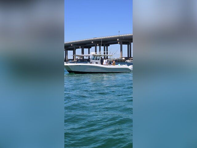 Listing image 1093299