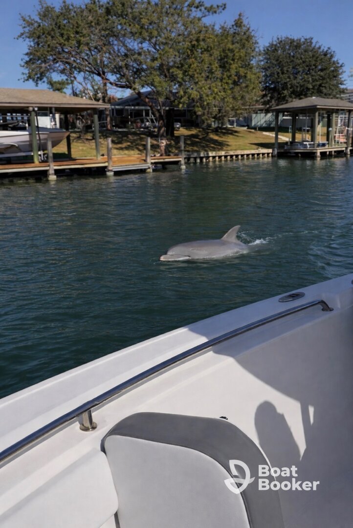 Dolphin Escape Charters