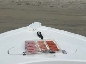 Charter Image