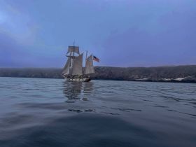 A majestic sailboat glides through calm waters, showcasing its sails against a misty backdrop — perfect for scenic coastal adventures.