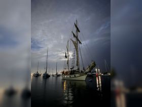 A beautifully lit sailboat docked in a marina at night, reflecting on the calm waters — a serene scene perfect for evening boat tours.