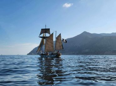 Lively Schooner INC.