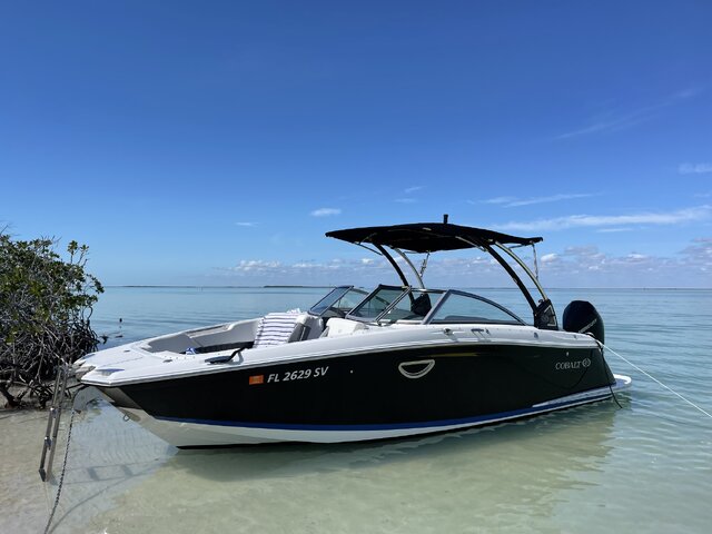 Listing image 1093417