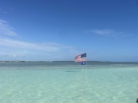 A serene view of flags standing in shallow waters under a clear blue sky, capturing a tranquil moment in a coastal setting.