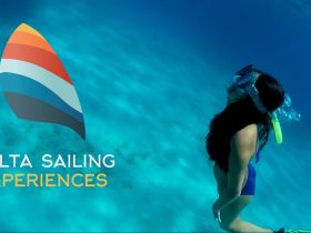 A snorkeler explores the vibrant underwater world, showcasing the beauty of marine life during a sailing experience in crystal-clear waters.