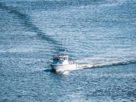 A sleek speedboat navigates through calm waters, showcasing its design and performance in a picturesque setting.