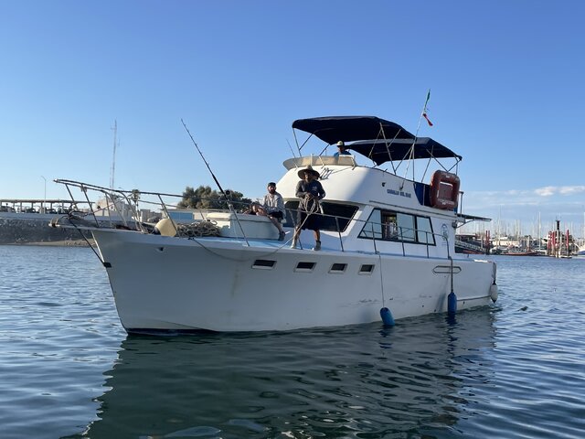 Listing image 1093522