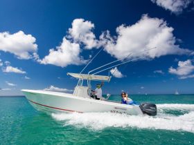 A lively scene on the water as a group enjoys a day out on a fishing boat, showcasing the thrill of boating adventures under a bright blue sky.