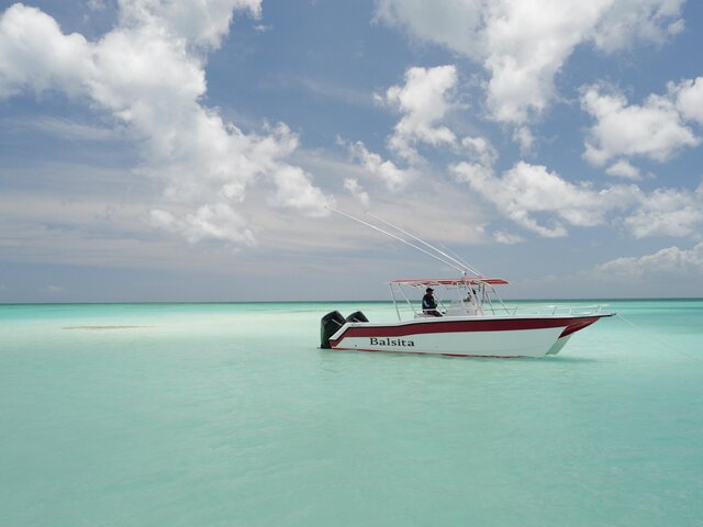 Listing image 1093551