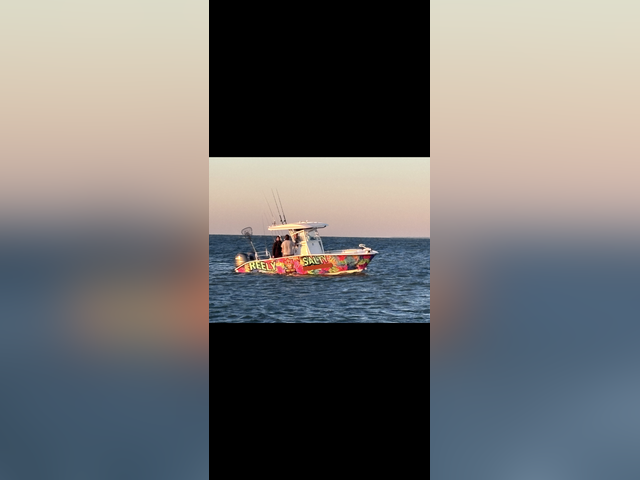 Listing image 1179683