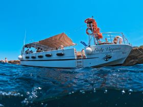 The 'Lady Virginia' boat is anchored with guests enjoying the sun and water, showcasing a perfect day on the water.
