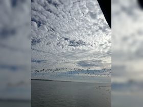 A stunning view of a flock of birds flying over calm waters, set against a backdrop of textured clouds — a serene moment in nature.