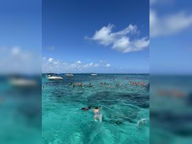 A vibrant scene of snorkelers enjoying the clear waters, showcasing a lively group engaged in underwater exploration — perfect for adventure seekers and beach lovers.