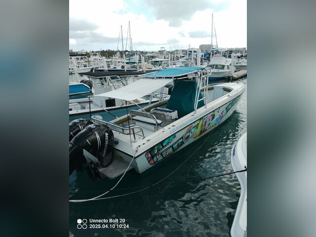 Listing image 1093640