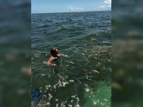 A snorkeler enjoys the vibrant underwater world, surrounded by clear ocean waters — a perfect adventure for marine exploration.