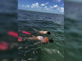 Two snorkelers explore the vibrant underwater world, enjoying a refreshing swim in the ocean — a perfect adventure for water enthusiasts.