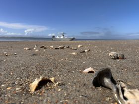 A close-up view of seashells on the beach with a boat in the background, creating an unclear perspective of the scene.