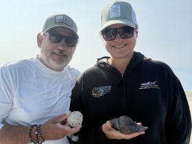 A couple proudly displays their beach finds, showcasing unique shells collected during their seaside adventure — a perfect moment of exploration and discovery.