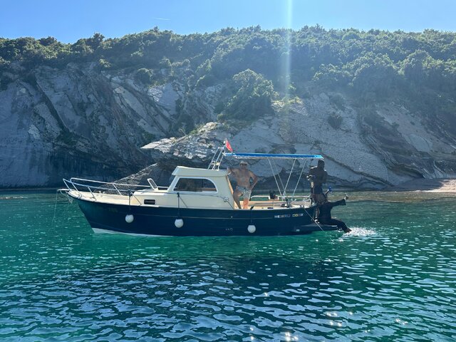 Listing image 1097885