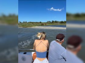 Guests enjoy a scenic boat ride while observing wild horses grazing on the shore, showcasing the beauty of nature and wildlife encounters.