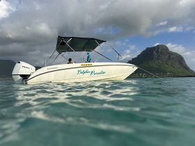 A sleek speedboat named 'Dolphin Paradise' is anchored in clear waters with a scenic mountain backdrop, perfect for exploring coastal adventures.