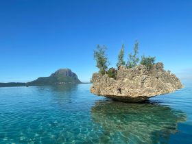 A stunning view of a rocky island surrounded by crystal-clear waters, showcasing the natural beauty of the coastline — perfect for eco tours and scenic boat trips.